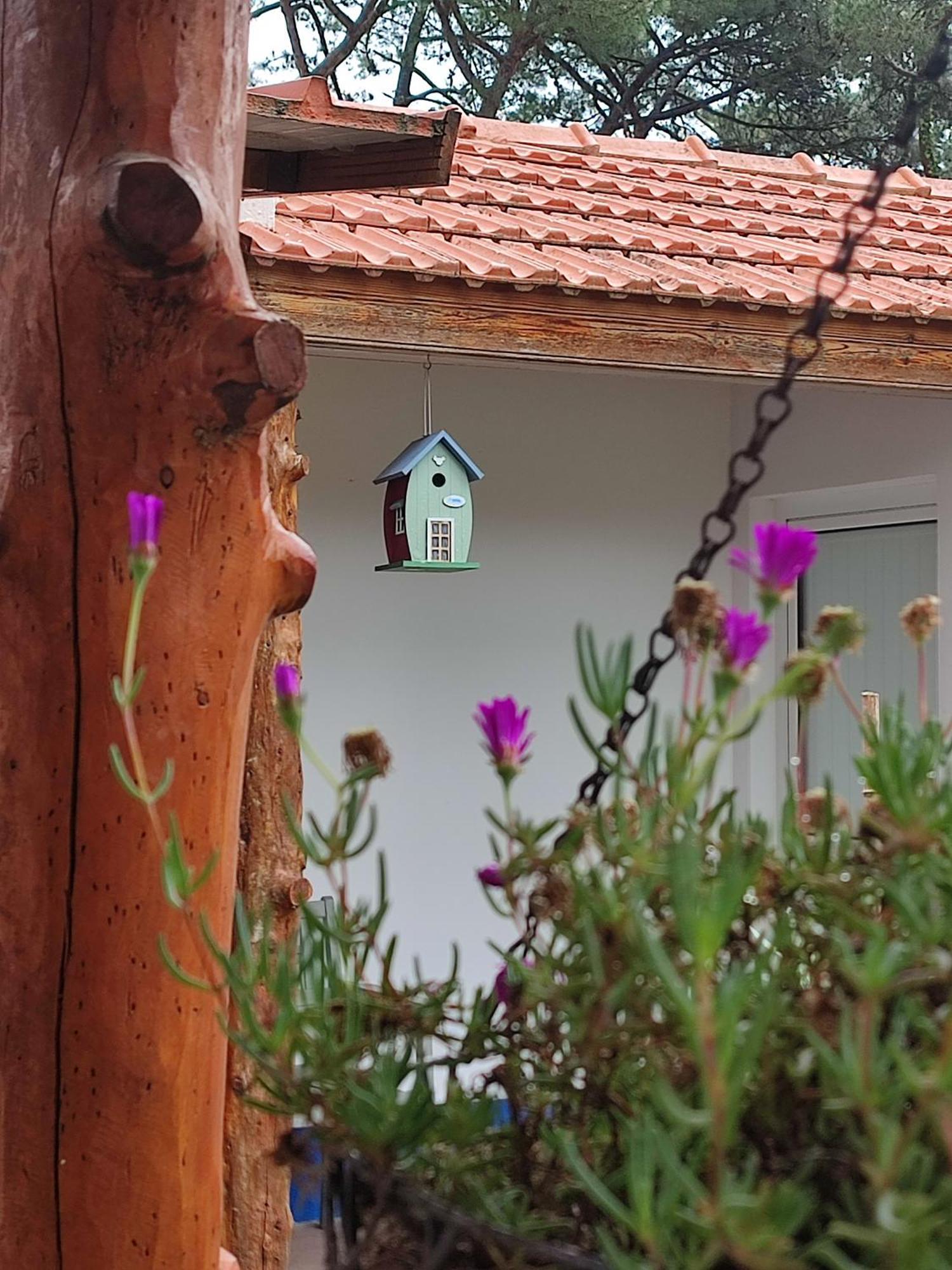 Casinha Do Pinhal Villa Colares Bagian luar foto